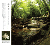 Yakushima -Water in the Forest-  jacket