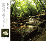 Yakushima -Water in the Forest- jacket